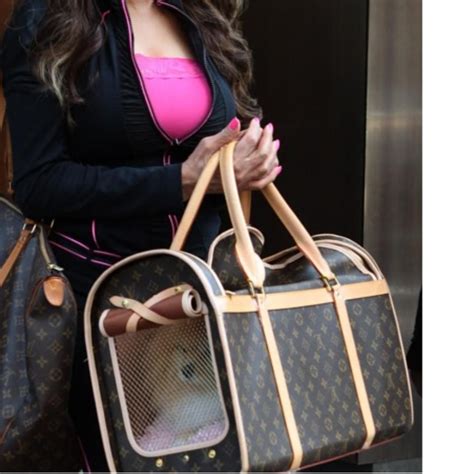 lv jelly bag|For Pets Collection for New .